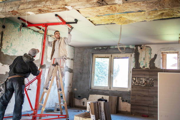Best Insulation Installation Services in Cloverleaf, TX